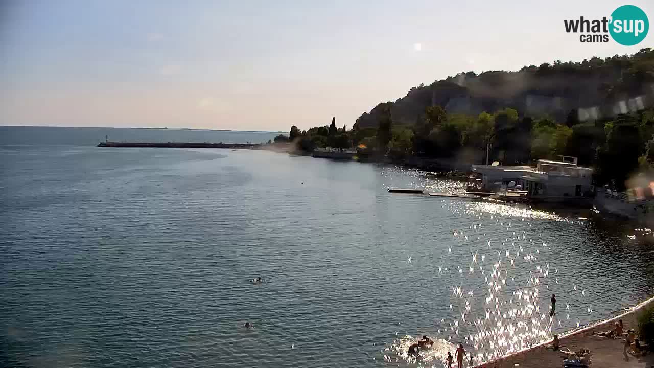 Webcam Bahía de Sistiana – Vista en directo del puerto deportivo y la costa