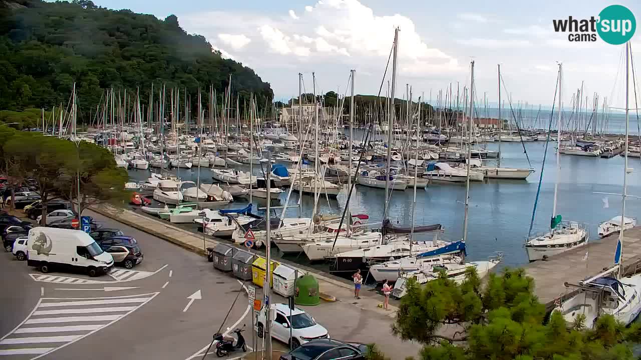 Webcam Bahía de Sistiana – Vista en directo del puerto deportivo y la costa