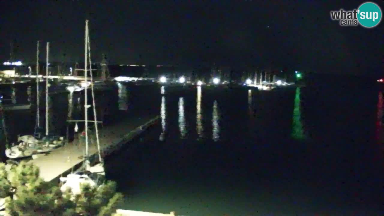 Webcam Sistiana Baia – Live View of the Marina and Gulf
