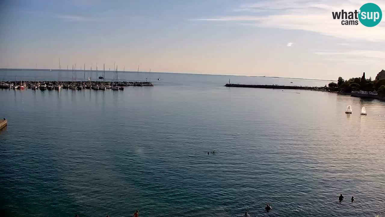 Webcam Sistiana Baia – Live View of the Marina and Gulf