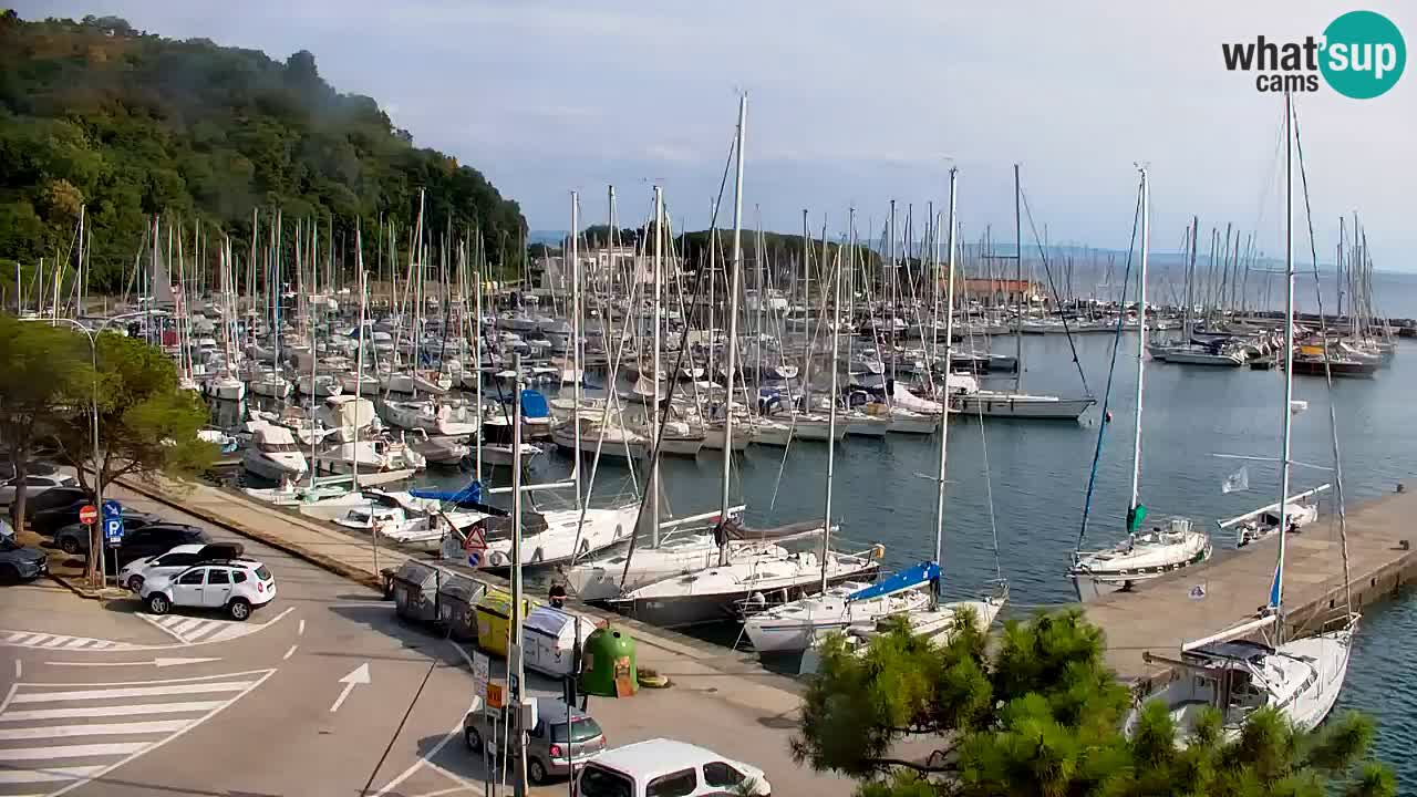 Spletna kamera Sesljanski zaliv – Pogled v živo na marino in zaliv