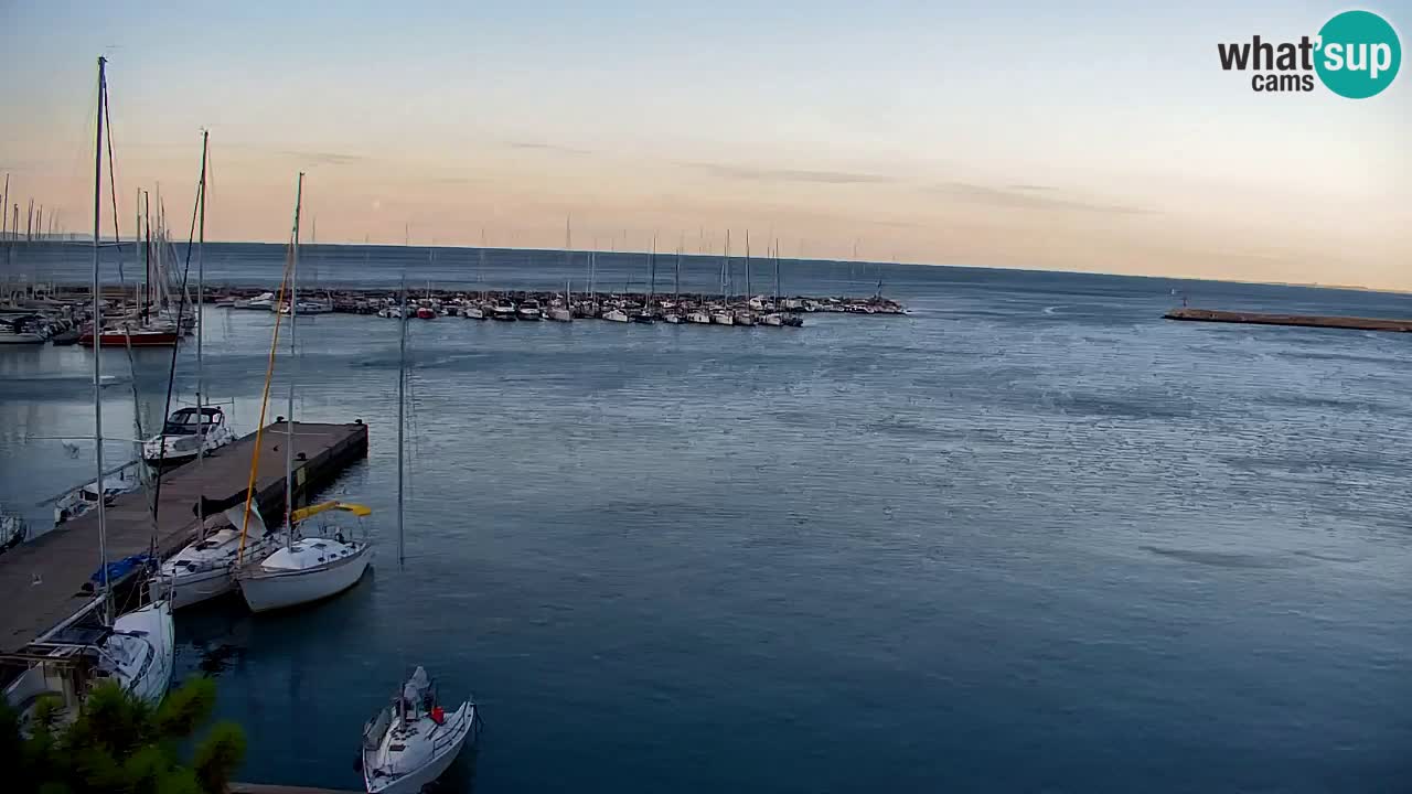 Web kamera Sistiana Uvala – Pogled uživo na marinu i zaljev
