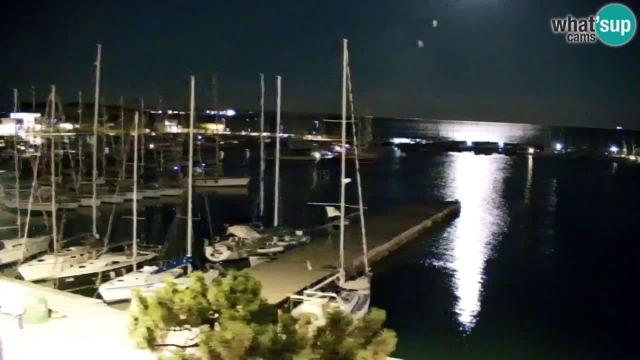Webcam Sistiana Baia – Live View of the Marina and Gulf