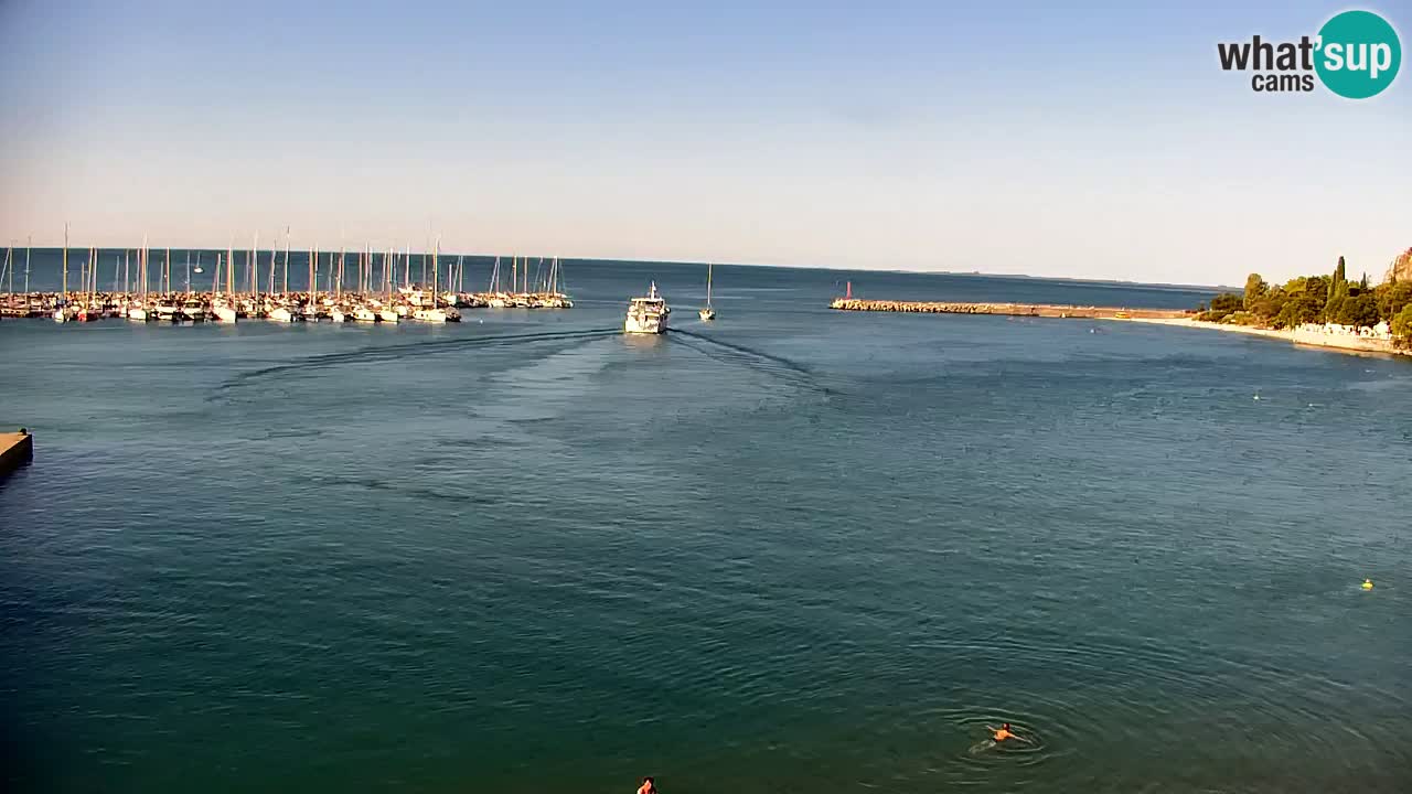 Webcam Sistiana Baia – Live View of the Marina and Gulf
