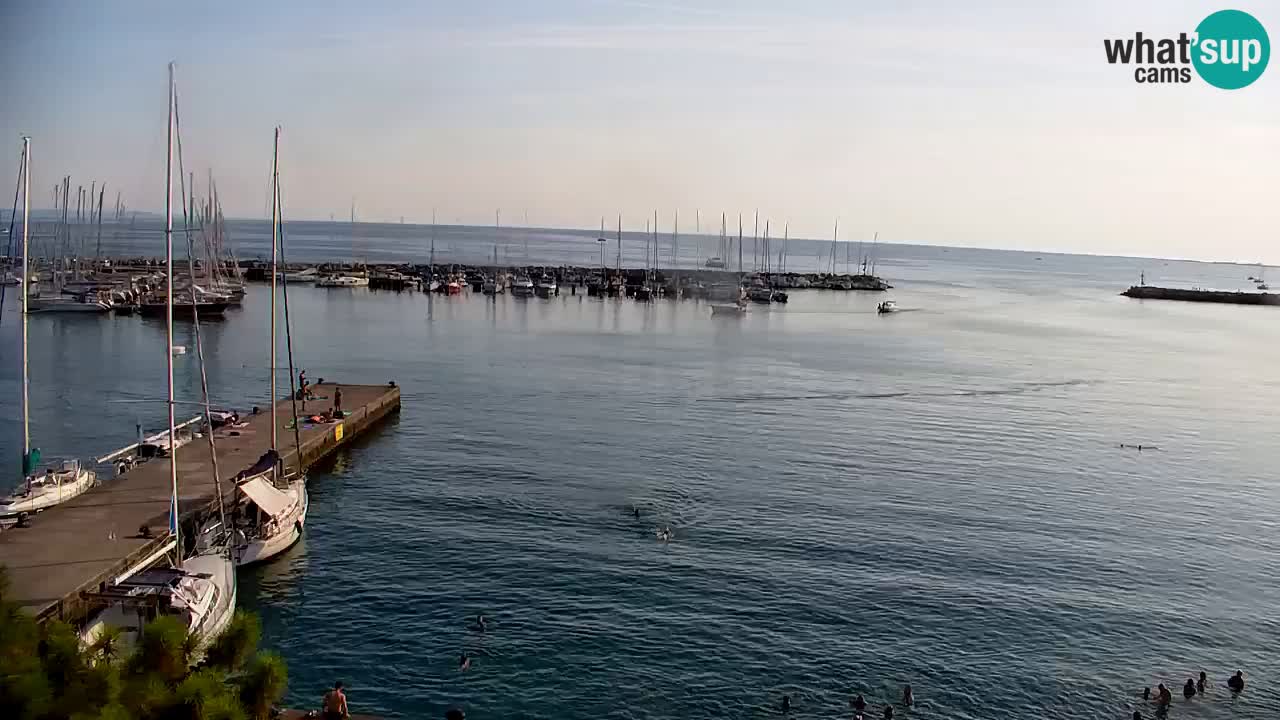 Webcam Sistiana Baia – Live View of the Marina and Gulf