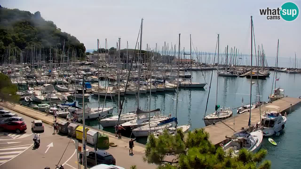 Webcam Sistiana Baia – Live View of the Marina and Gulf