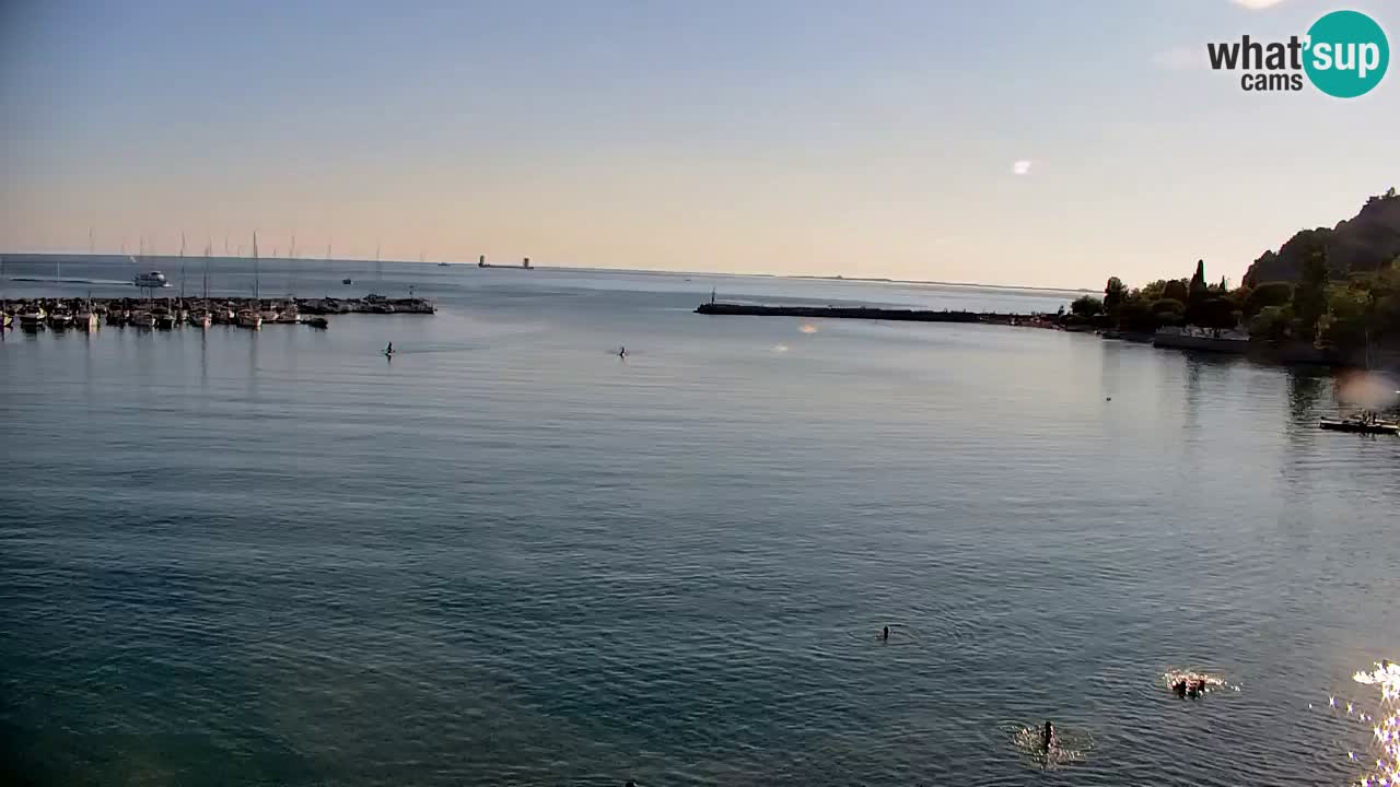 Webcam Bahía de Sistiana – Vista en directo del puerto deportivo y la costa