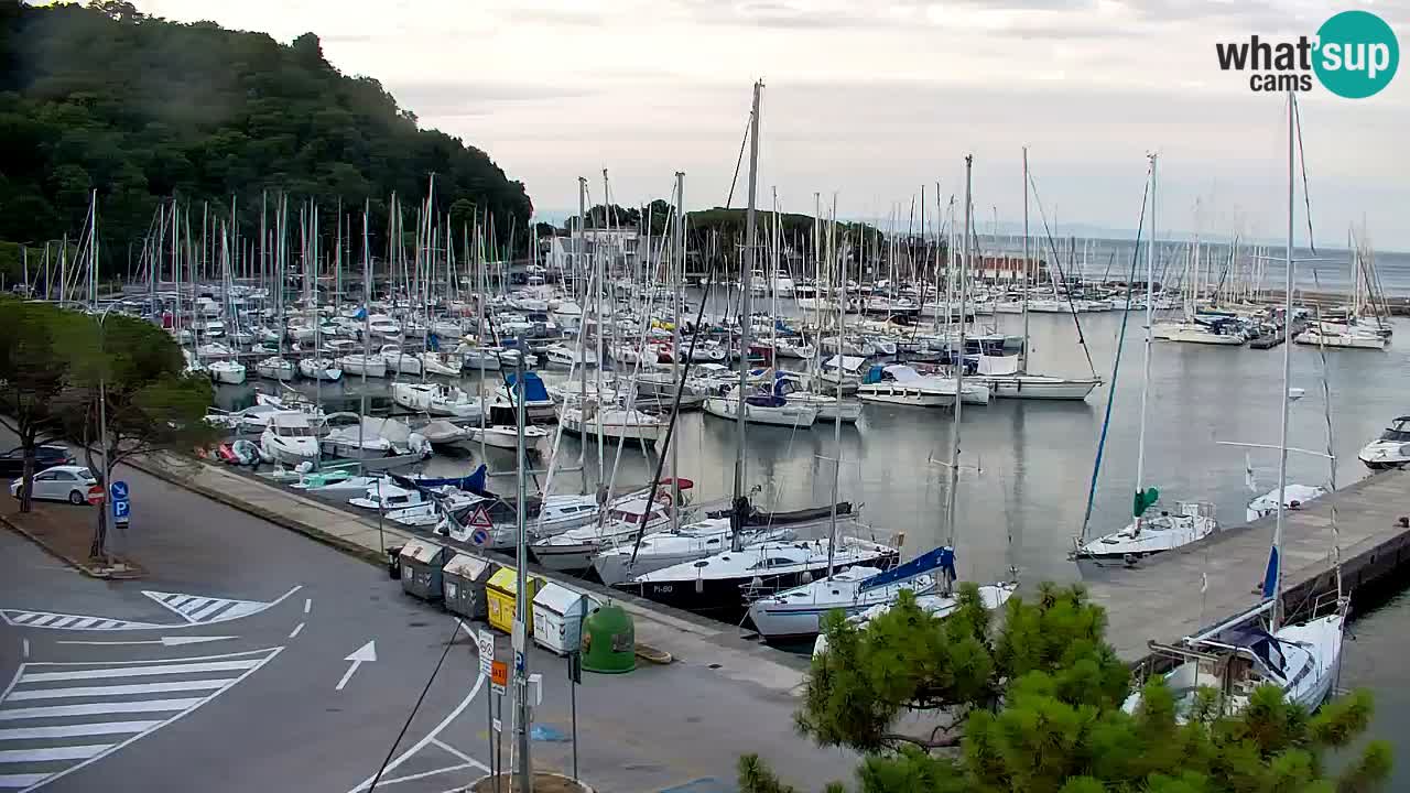 Webcam Sistiana Bucht – Liveblick auf Marina und Bucht