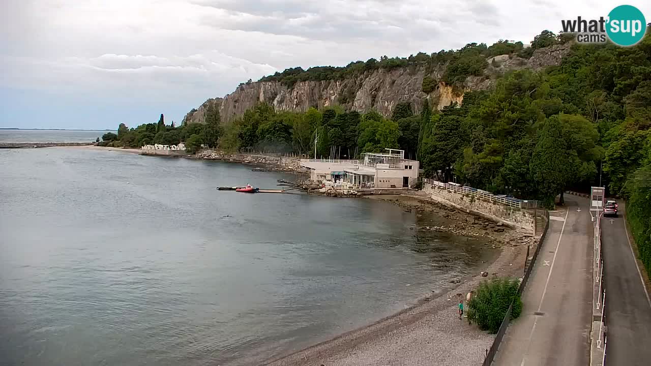 Web kamera Sistiana Uvala – Pogled uživo na marinu i zaljev