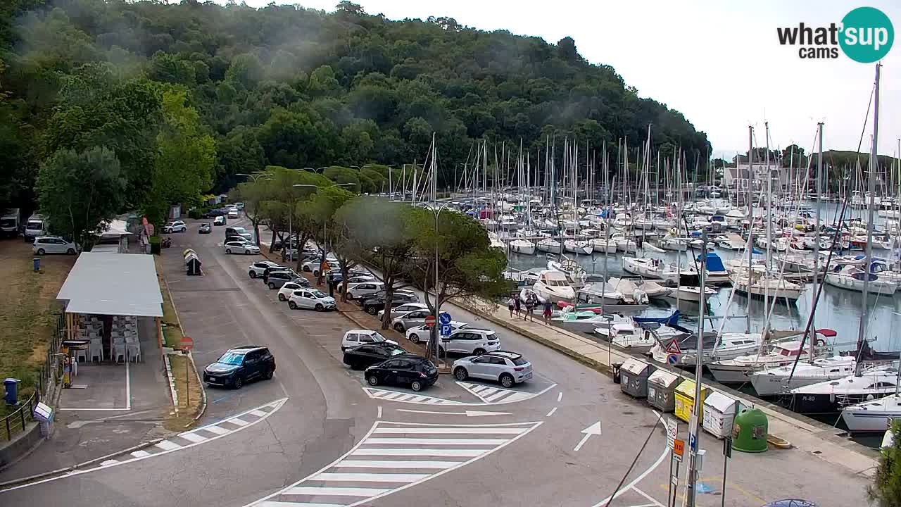 Spletna kamera Sesljanski zaliv – Pogled v živo na marino in zaliv