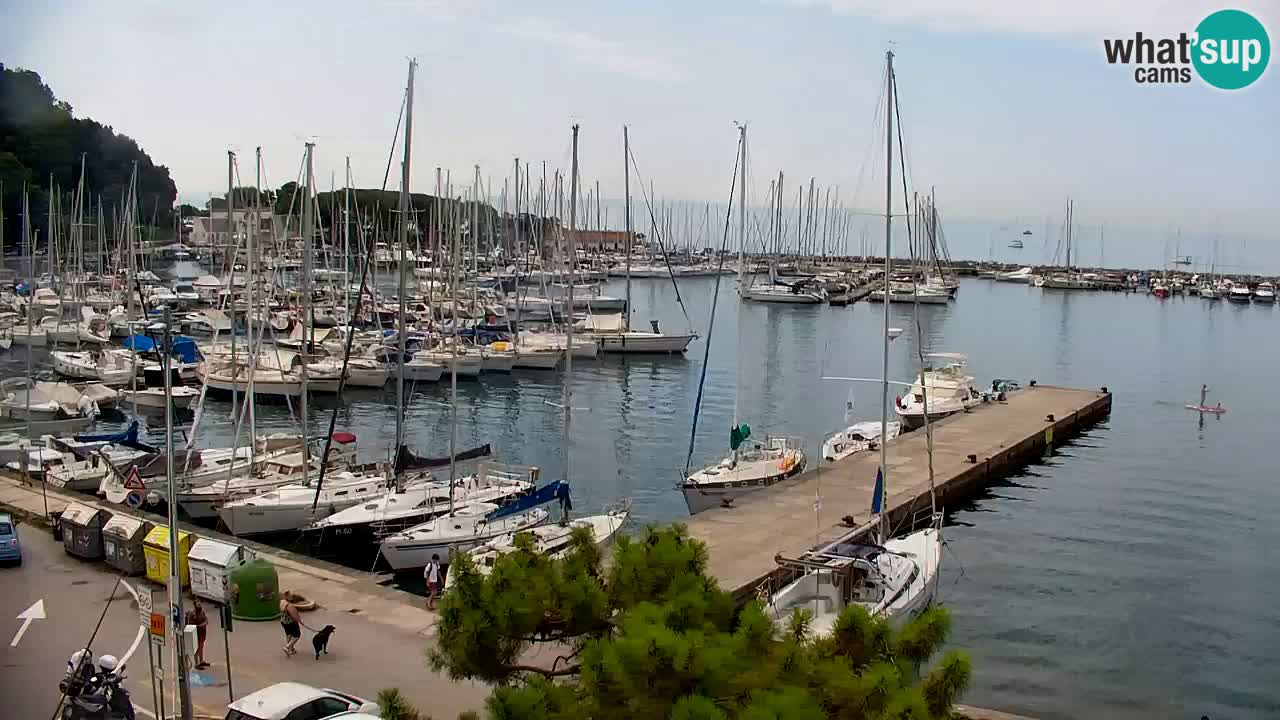 Web kamera Sistiana Uvala – Pogled uživo na marinu i zaljev