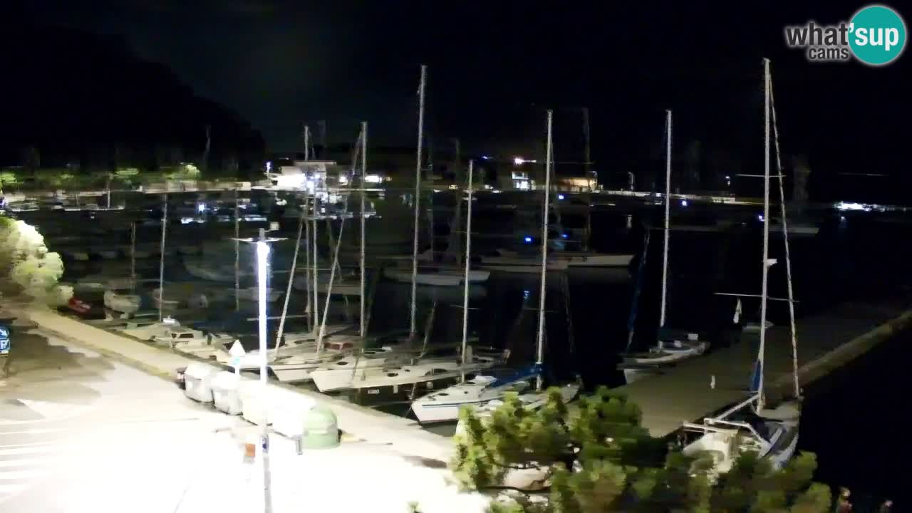 Webcam Bahía de Sistiana – Vista en directo del puerto deportivo y la costa