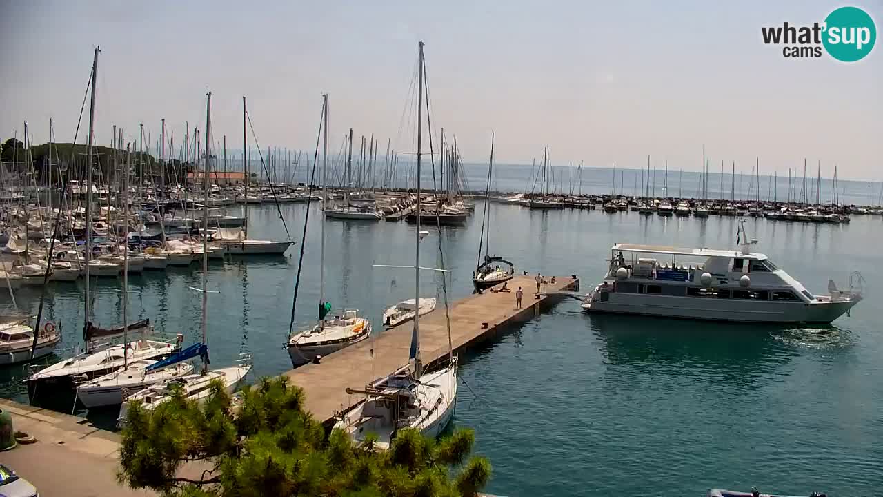 Webcam Baia di Sistiana – Marina e Golfo in diretta