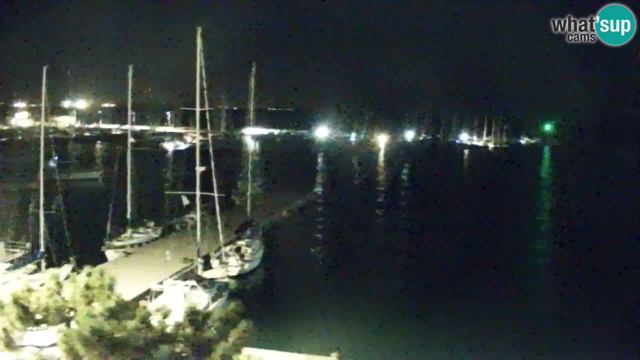 Webcam Sistiana Baia – Live View of the Marina and Gulf