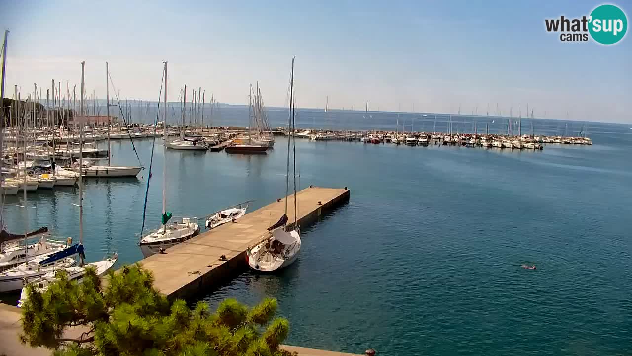 Webcam Sistiana Baia – Live View of the Marina and Gulf