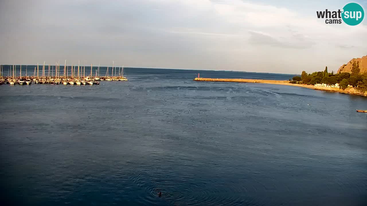 Webcam Sistiana Baia – Live View of the Marina and Gulf