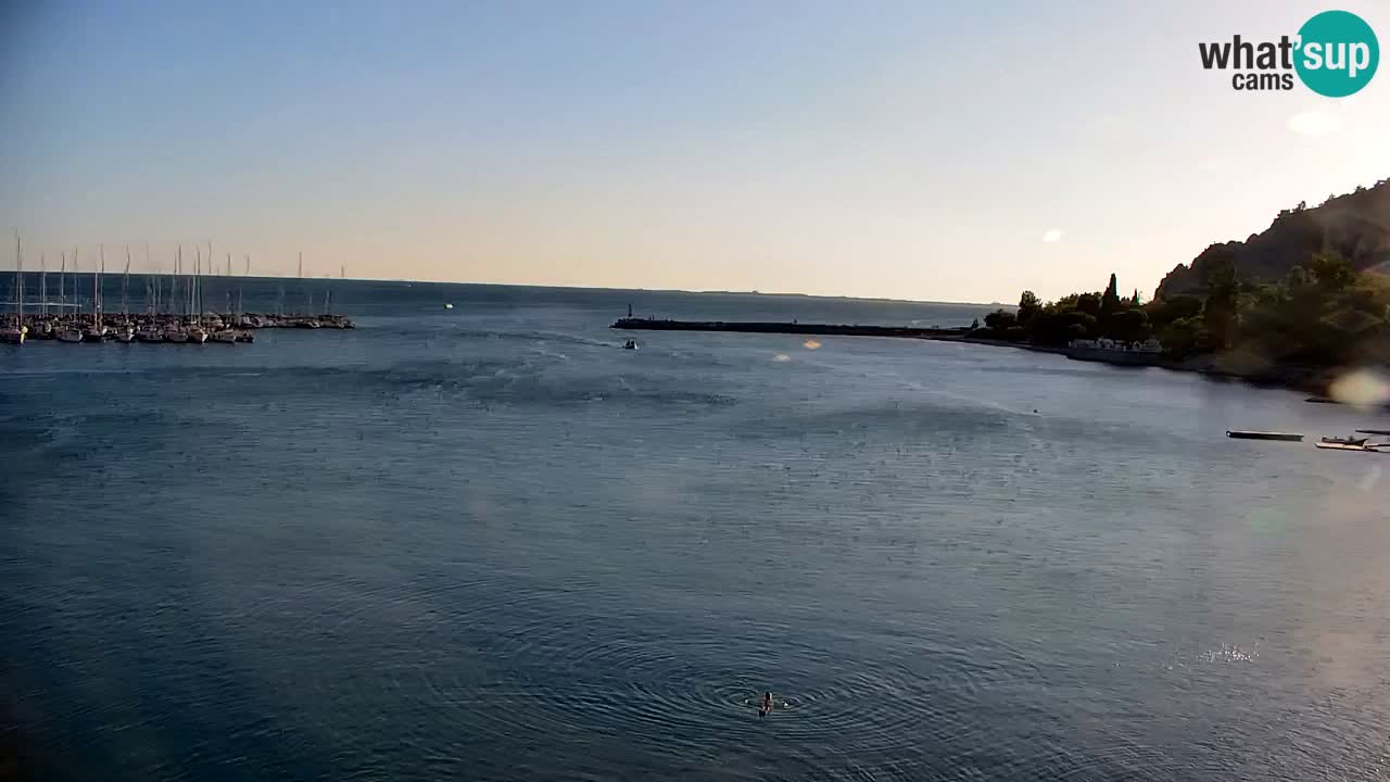 Webcam Sistiana Baia – Live View of the Marina and Gulf
