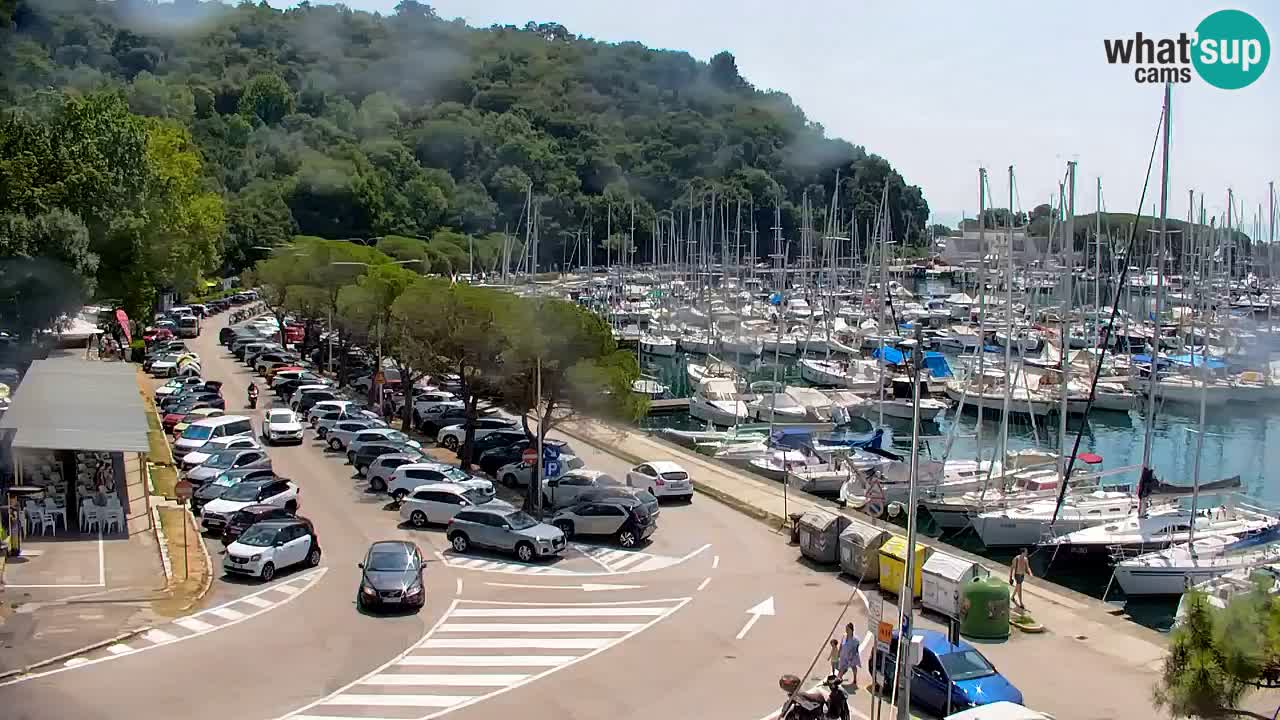 Web kamera Sistiana Uvala – Pogled uživo na marinu i zaljev