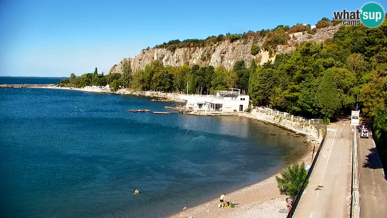 Webcam Sistiana Baia – Live View of the Marina and Gulf