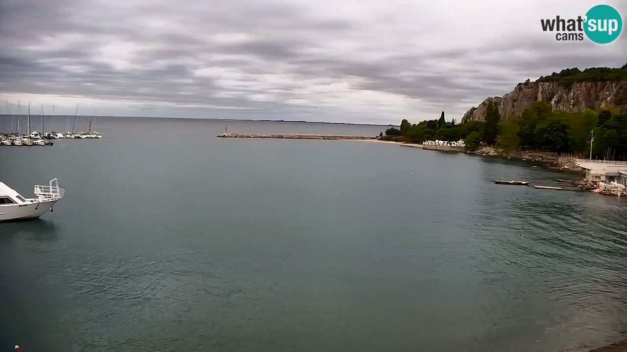 Webcam Bahía de Sistiana – Vista en directo del puerto deportivo y la costa