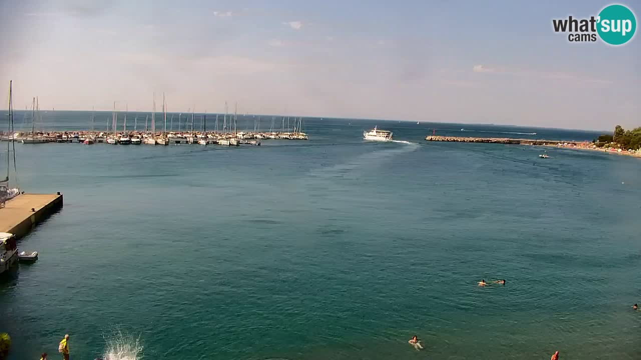 Spletna kamera Sesljanski zaliv – Pogled v živo na marino in zaliv