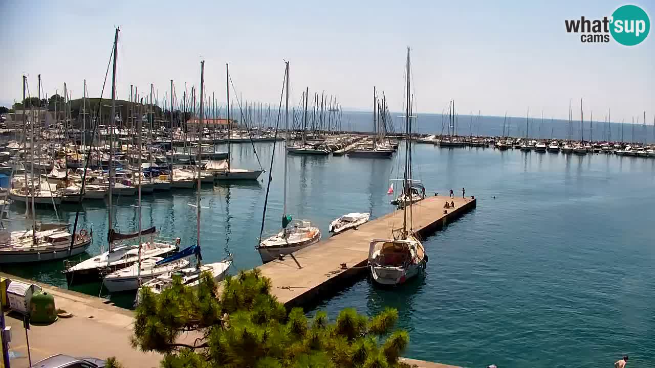 Webcam Baie de Sistiana – Vue en direct de la marina et de la baie