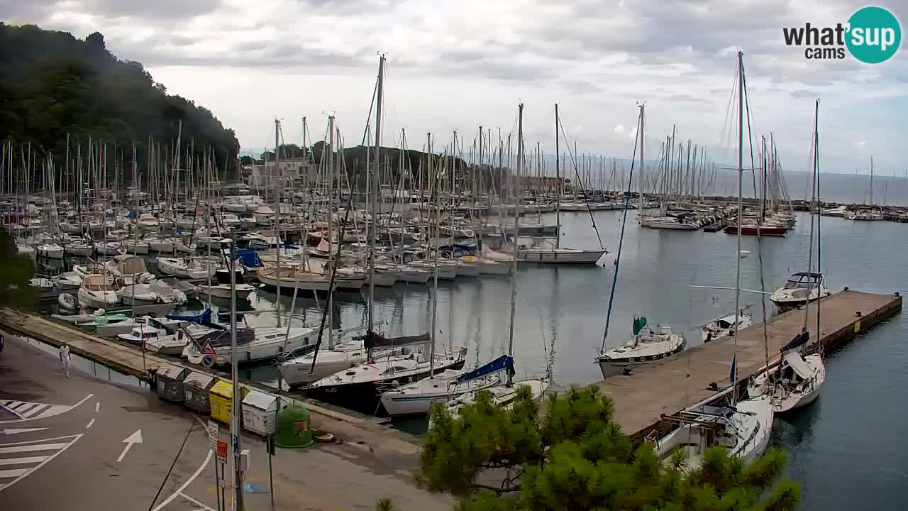 Webcam Bahía de Sistiana – Vista en directo del puerto deportivo y la costa