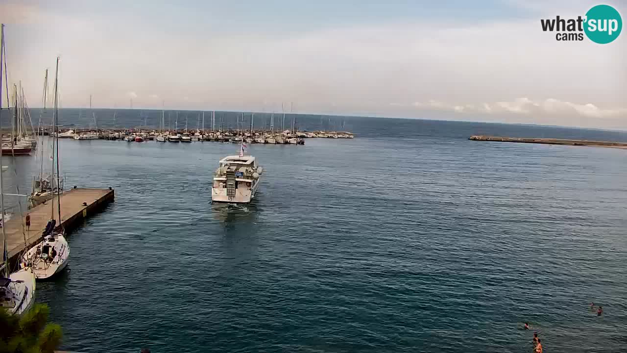 Spletna kamera Sesljanski zaliv – Pogled v živo na marino in zaliv
