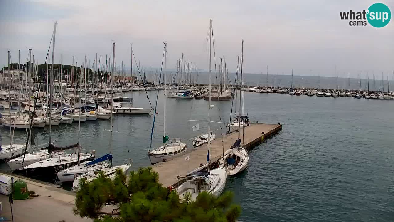 Webcam Baia di Sistiana – Marina e Golfo in diretta