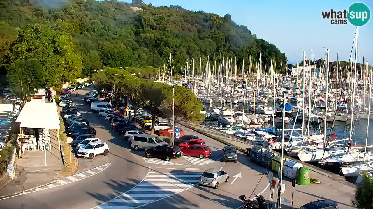 Webcam Sistiana Baia – Live View of the Marina and Gulf