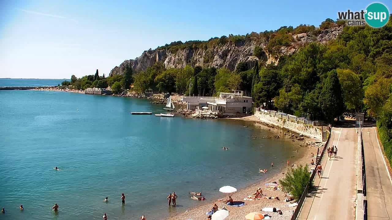 Webcam Sistiana Baia – Live View of the Marina and Gulf