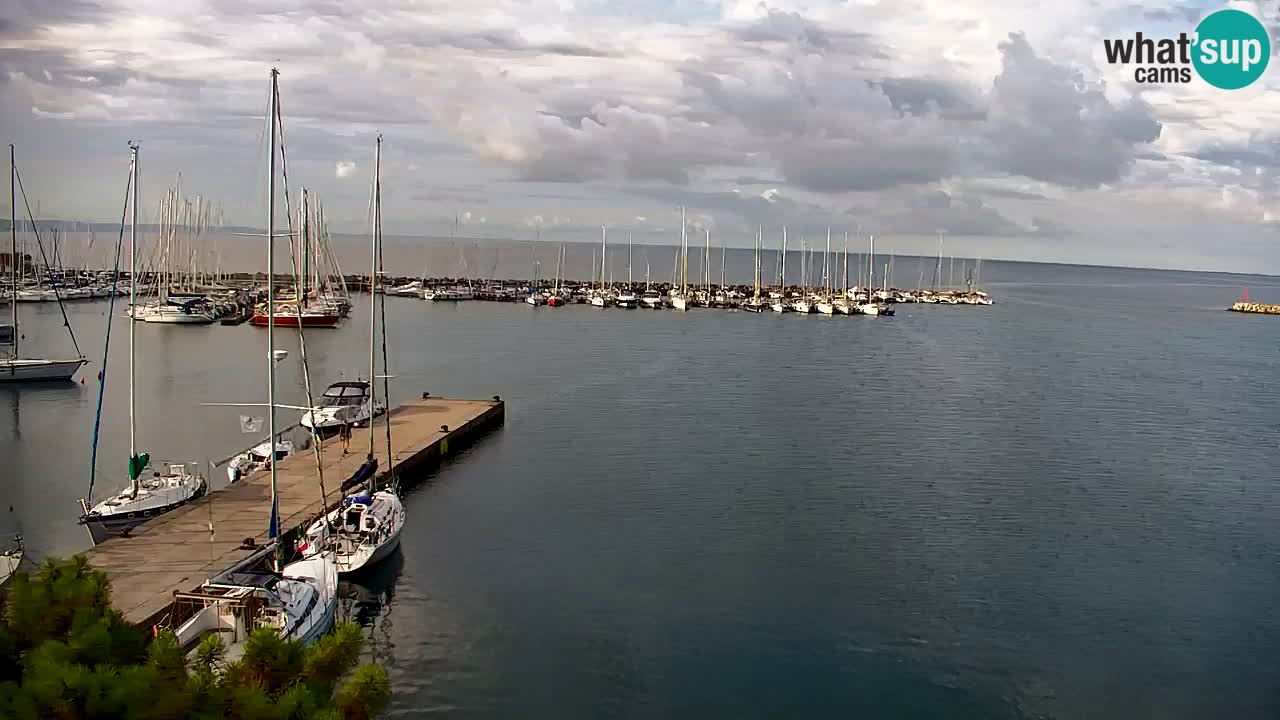 Webcam Bahía de Sistiana – Vista en directo del puerto deportivo y la costa