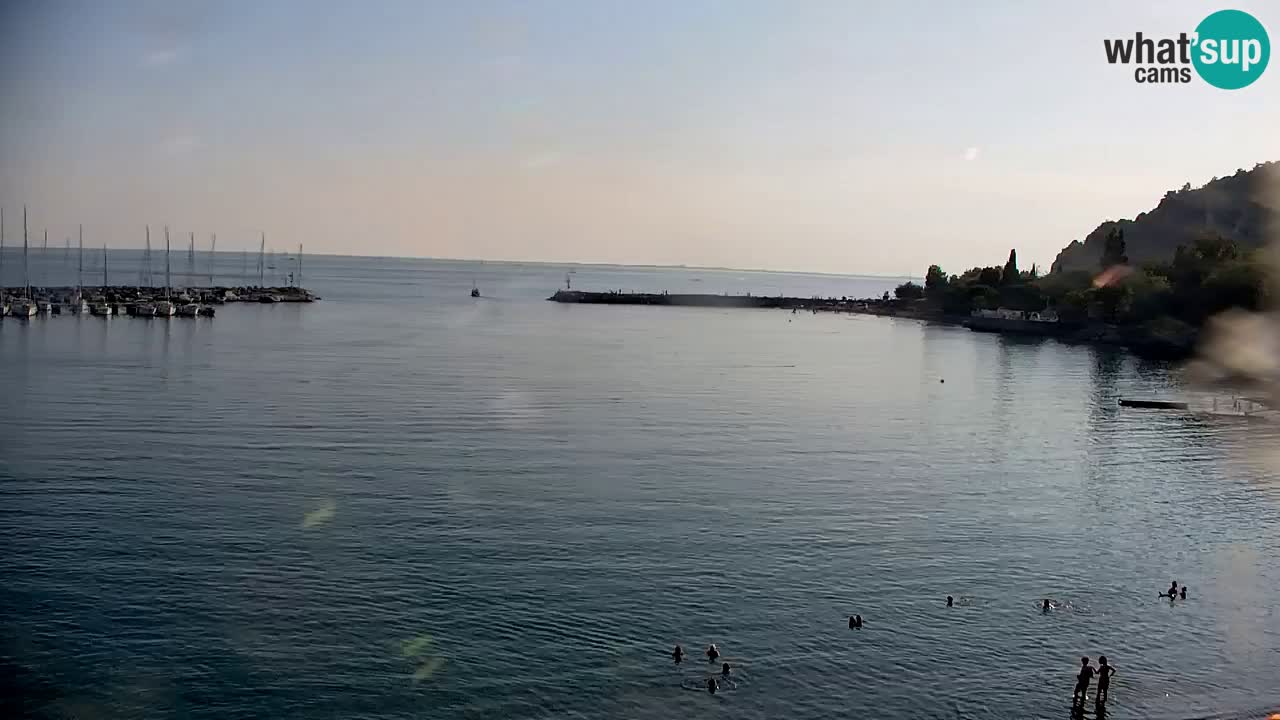 Webcam Sistiana Baia – Live View of the Marina and Gulf