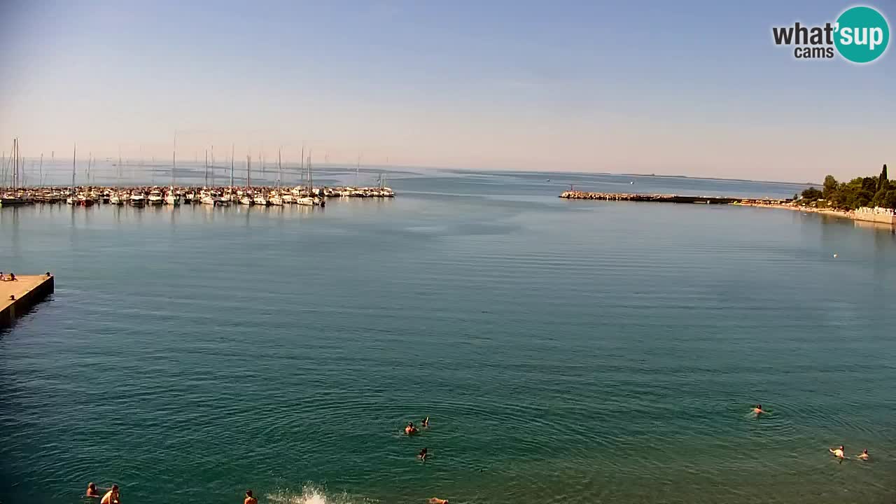Webcam Sistiana Bucht – Liveblick auf Marina und Bucht
