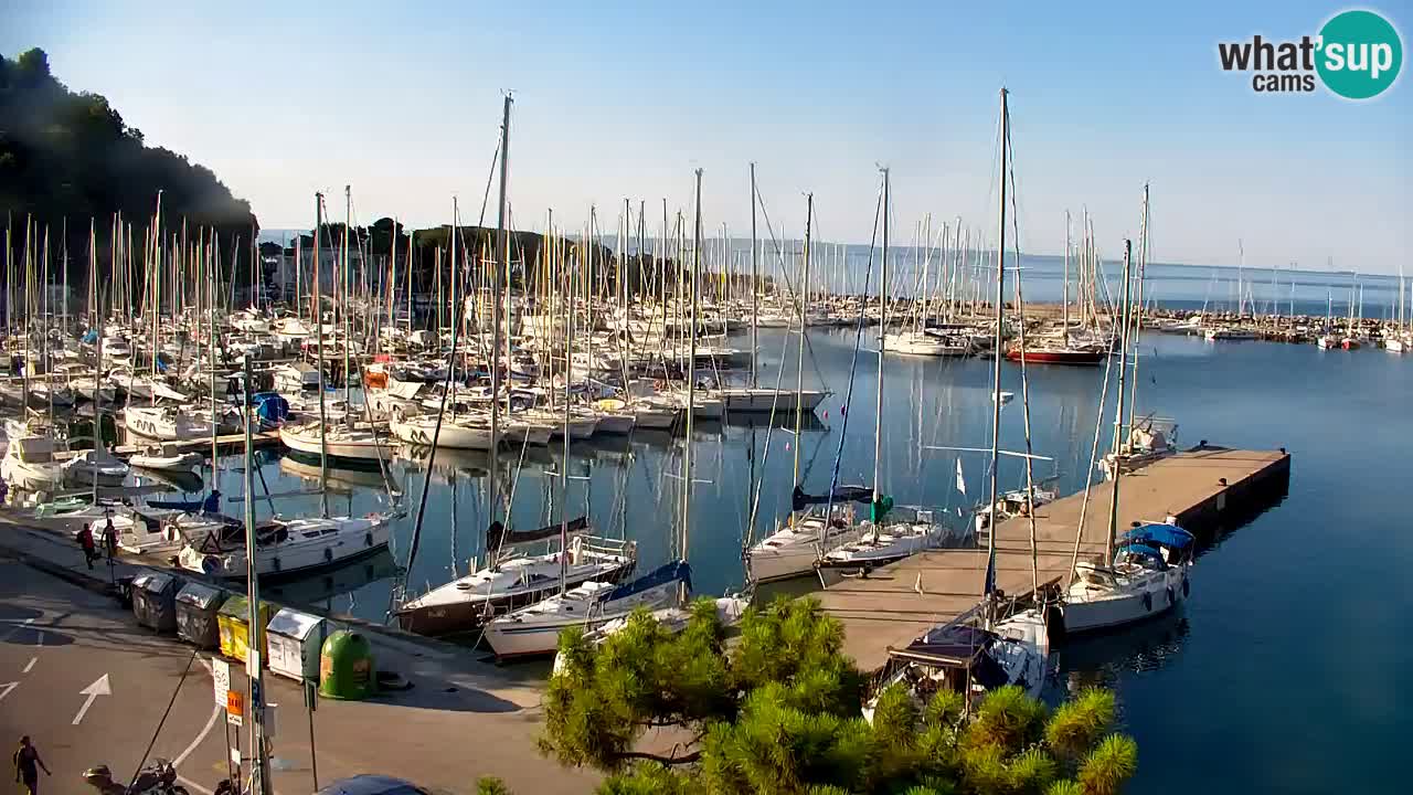 Webcam Sistiana Baia – Live View of the Marina and Gulf