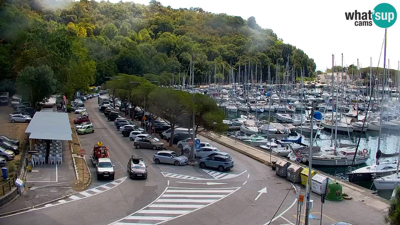 Webcam Bahía de Sistiana – Vista en directo del puerto deportivo y la costa