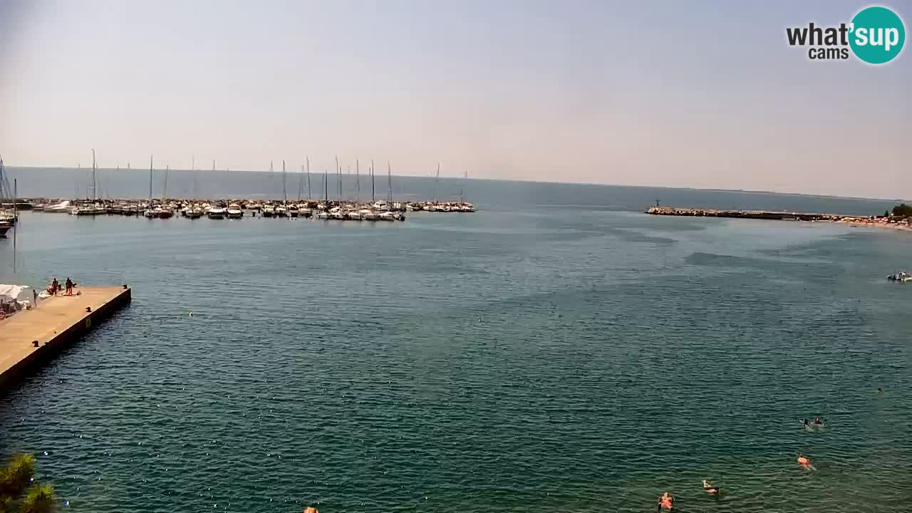 Spletna kamera Sesljanski zaliv – Pogled v živo na marino in zaliv