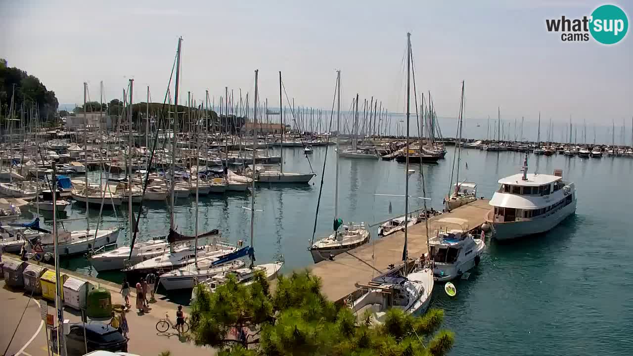 Spletna kamera Sesljanski zaliv – Pogled v živo na marino in zaliv