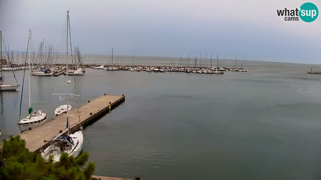 Webcam Sistiana Baia – Live View of the Marina and Gulf