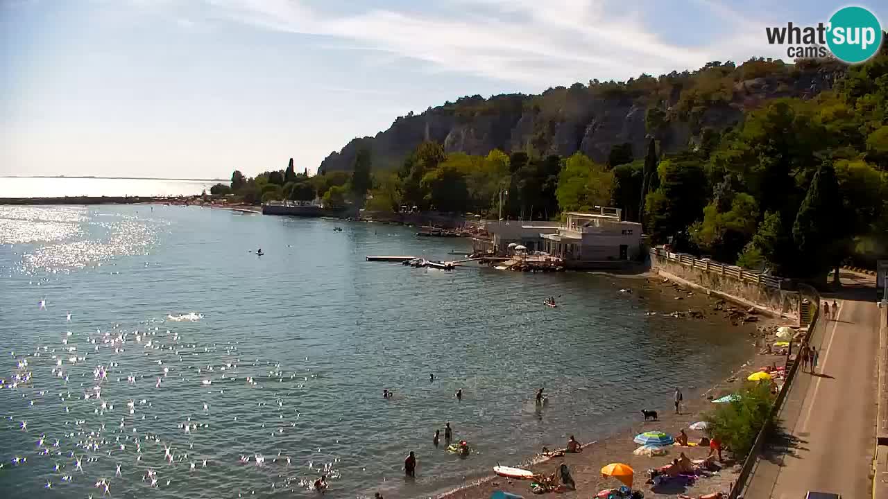 Webcam Baie de Sistiana – Vue en direct de la marina et de la baie