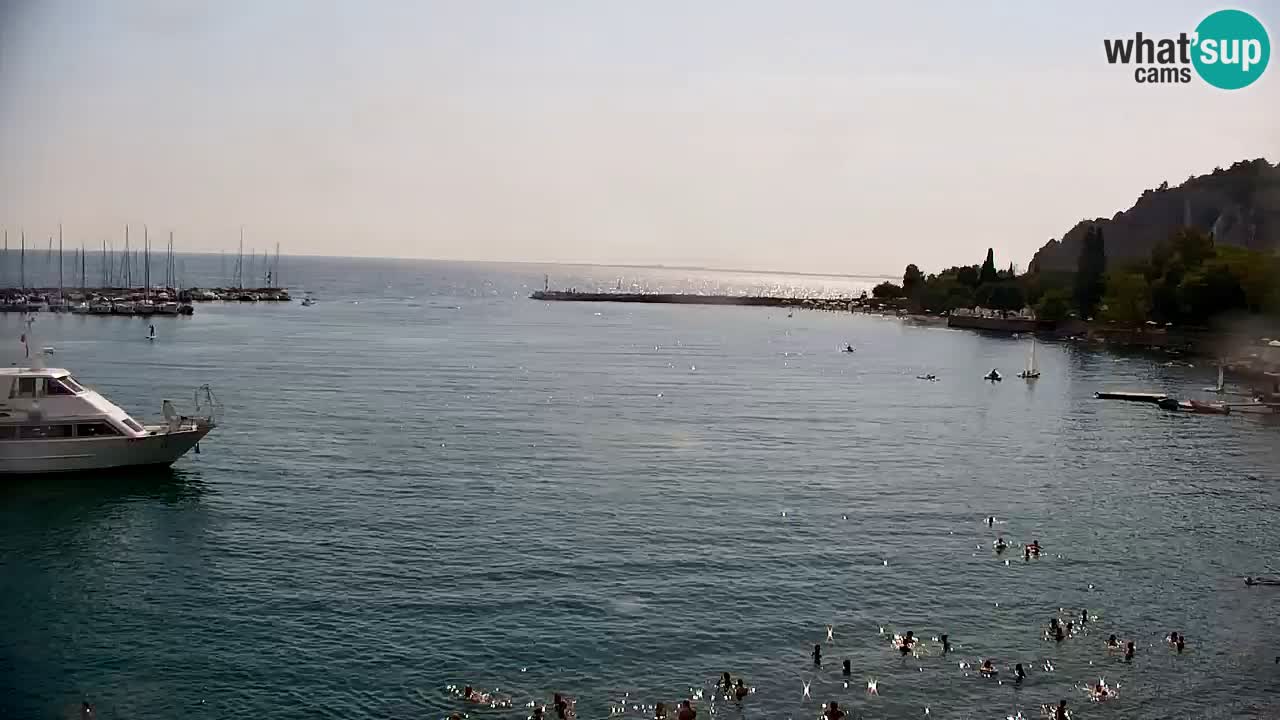 Webcam Sistiana Bucht – Liveblick auf Marina und Bucht