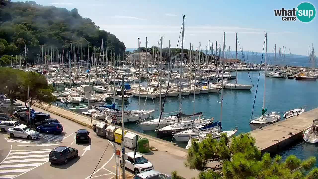Webcam Sistiana Bucht – Liveblick auf Marina und Bucht