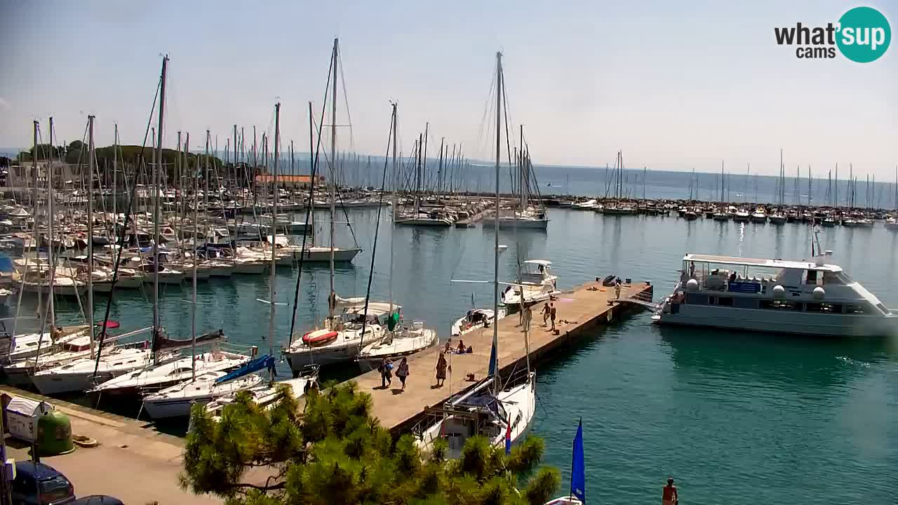Webcam Baie de Sistiana – Vue en direct de la marina et de la baie