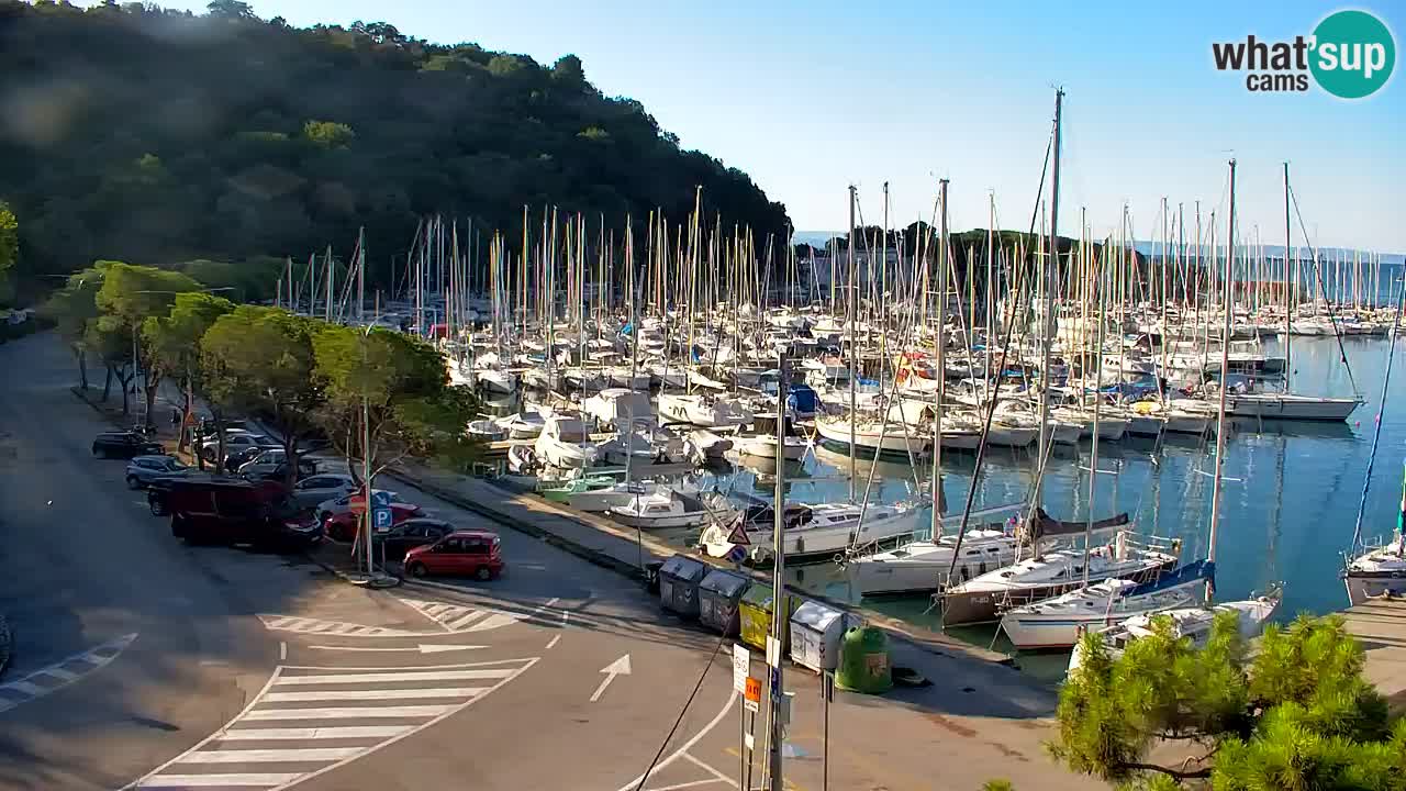 Webcam Sistiana Baia – Live View of the Marina and Gulf