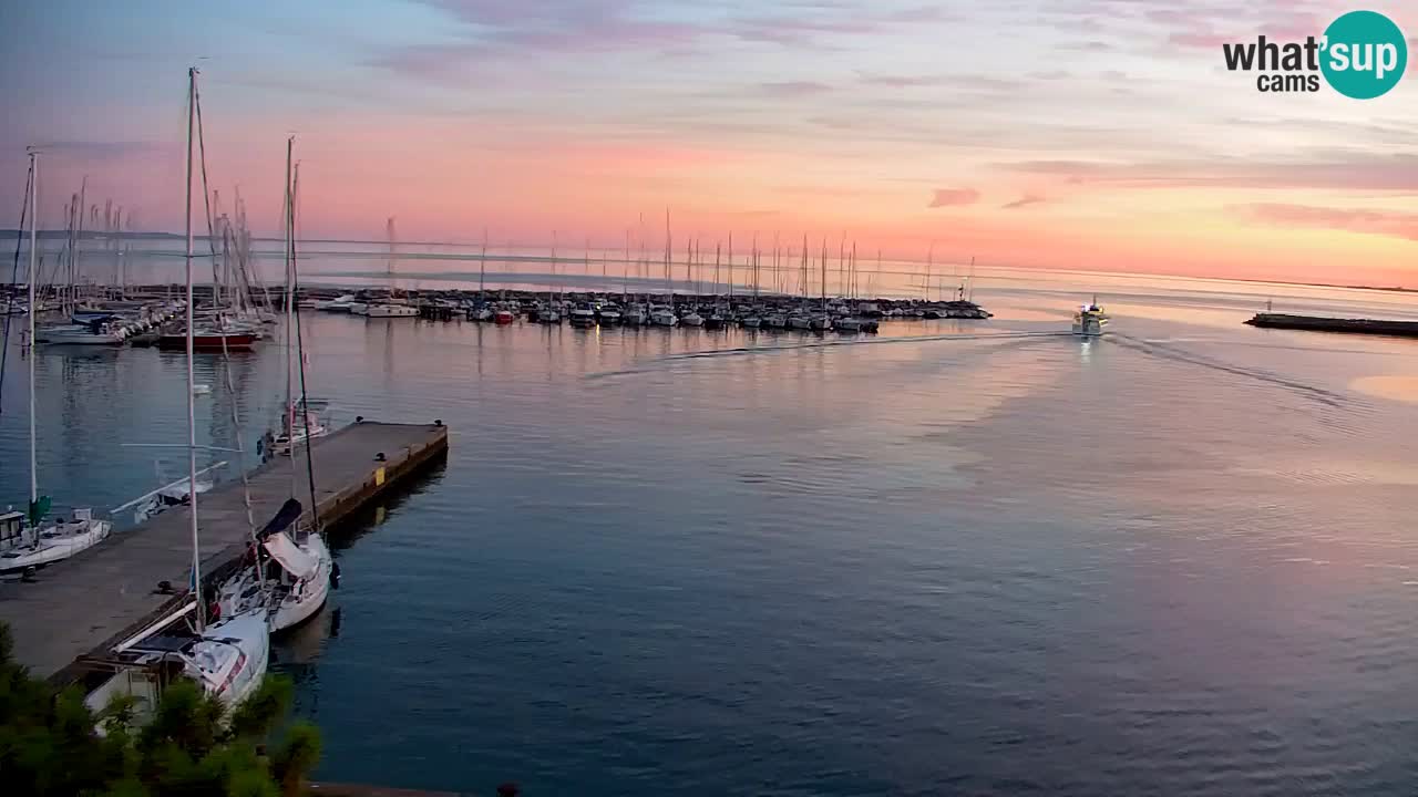 Webcam Sistiana Baia – Live View of the Marina and Gulf
