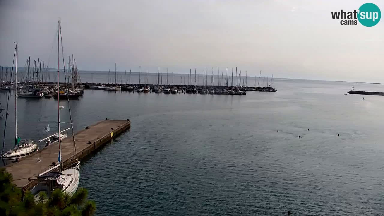 Webcam Sistiana Bucht – Liveblick auf Marina und Bucht