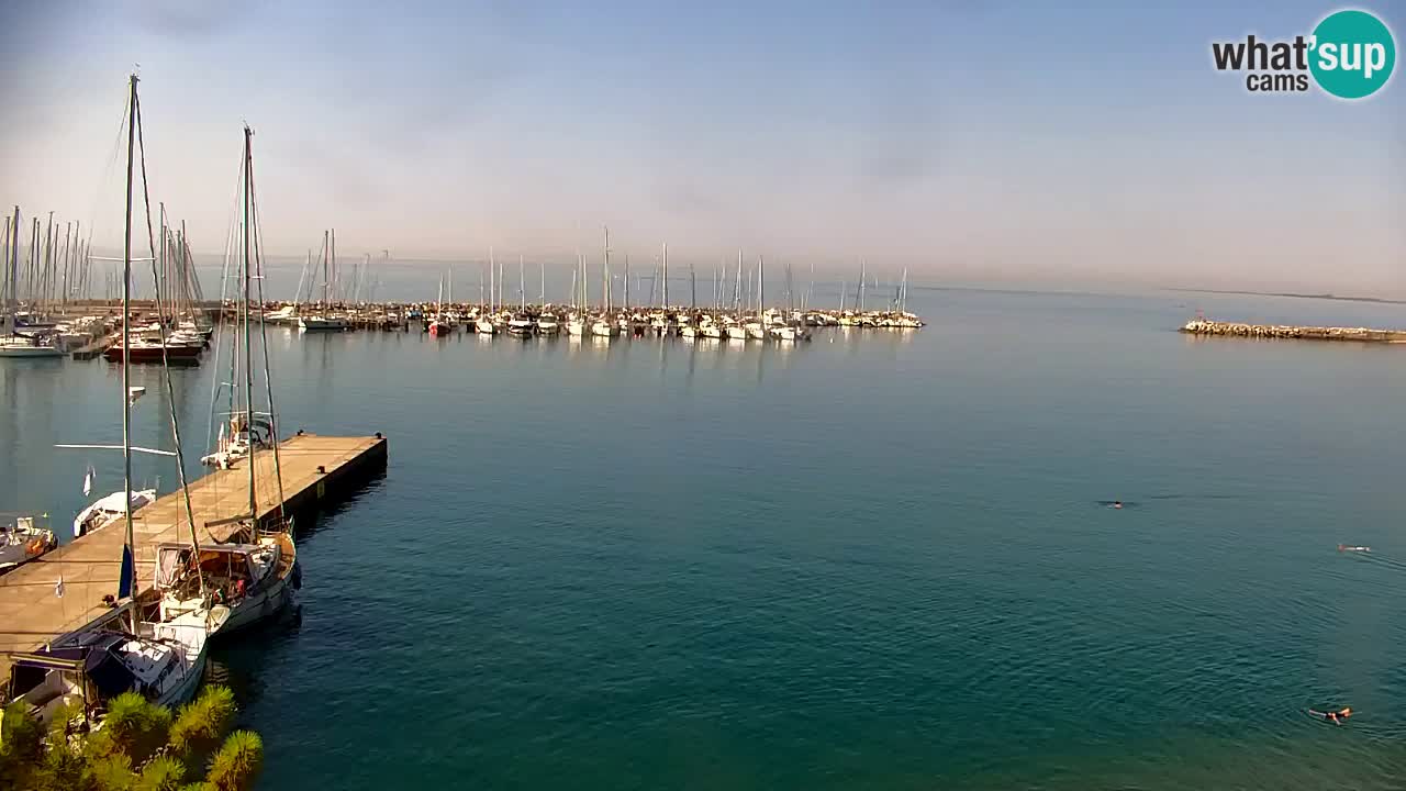 Webcam Sistiana Baia – Live View of the Marina and Gulf