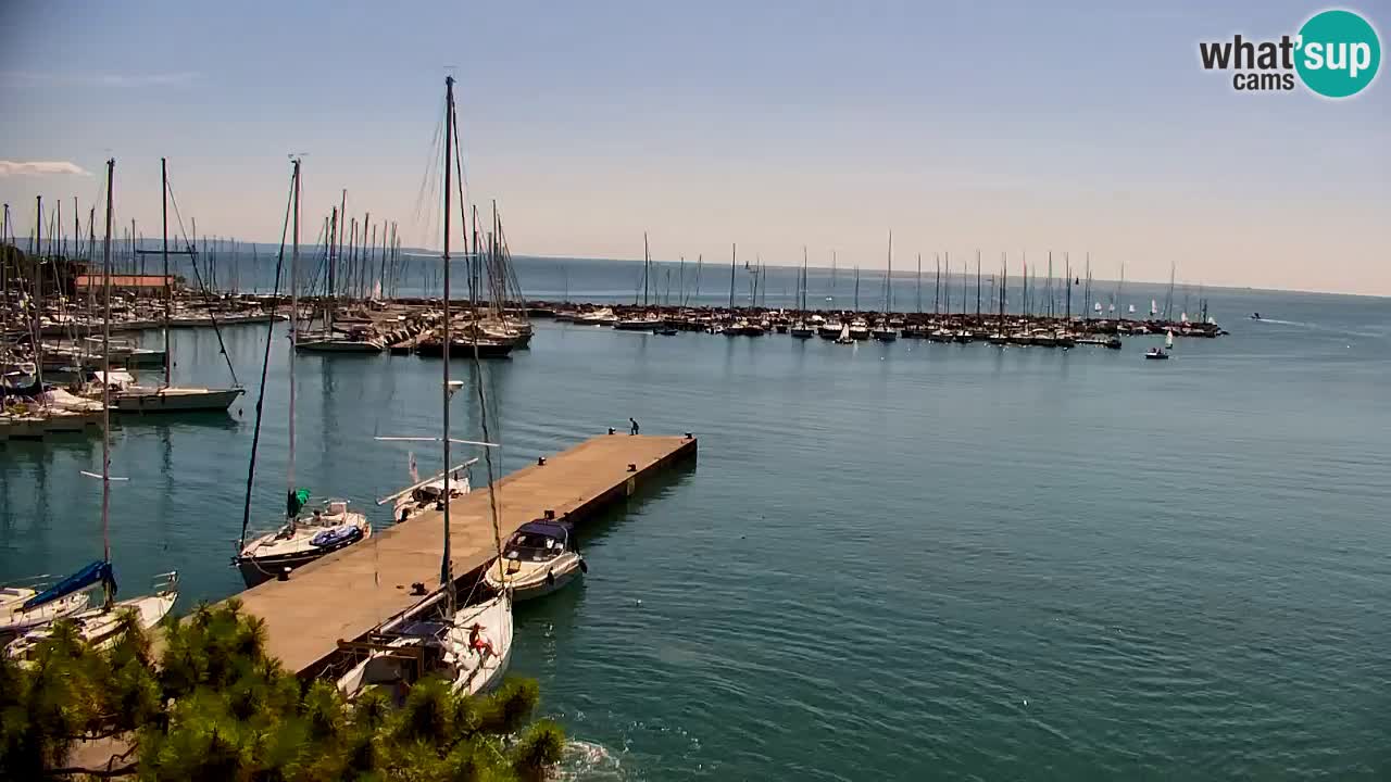 Web kamera Sistiana Uvala – Pogled uživo na marinu i zaljev