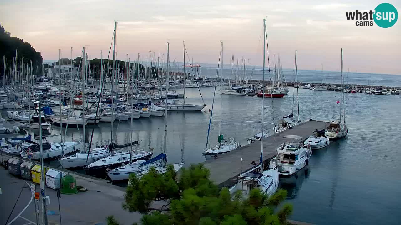 Webcam Sistiana Baia – Live View of the Marina and Gulf
