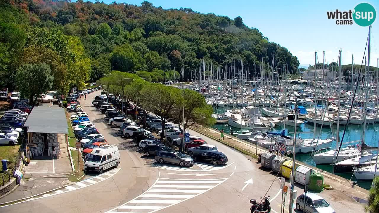 Webcam Sistiana Baia – Live View of the Marina and Gulf